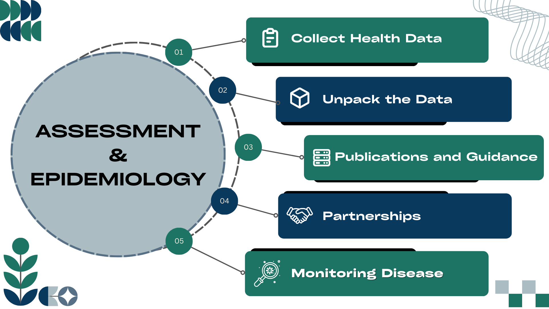 assessment and epidemiology is studying health data, forming partnerships & monitoring disease.