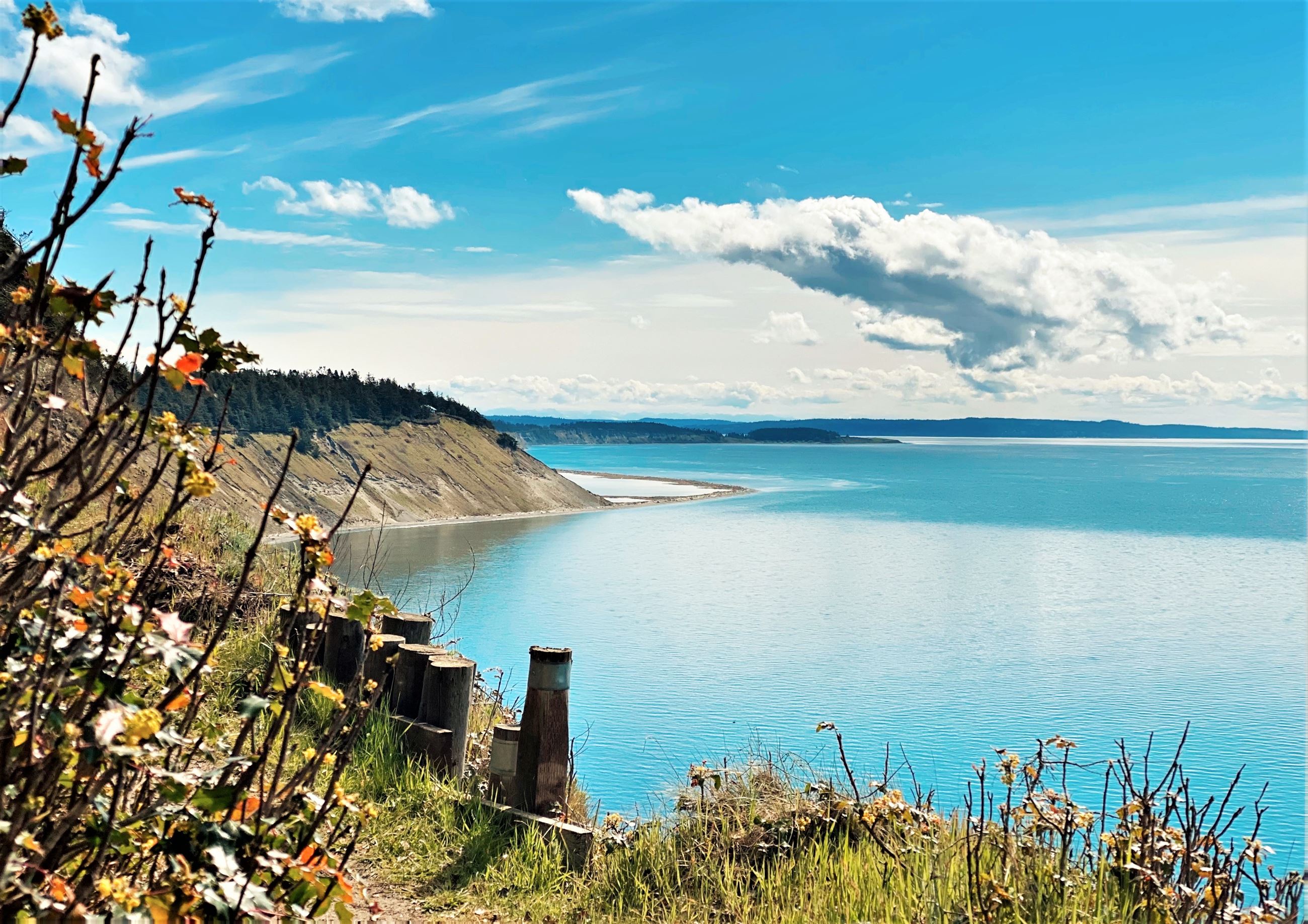 Matochi Island County Serendipity 5