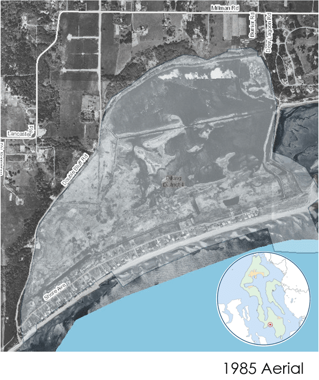 Diking District 4 - 1985 Aerial Photo