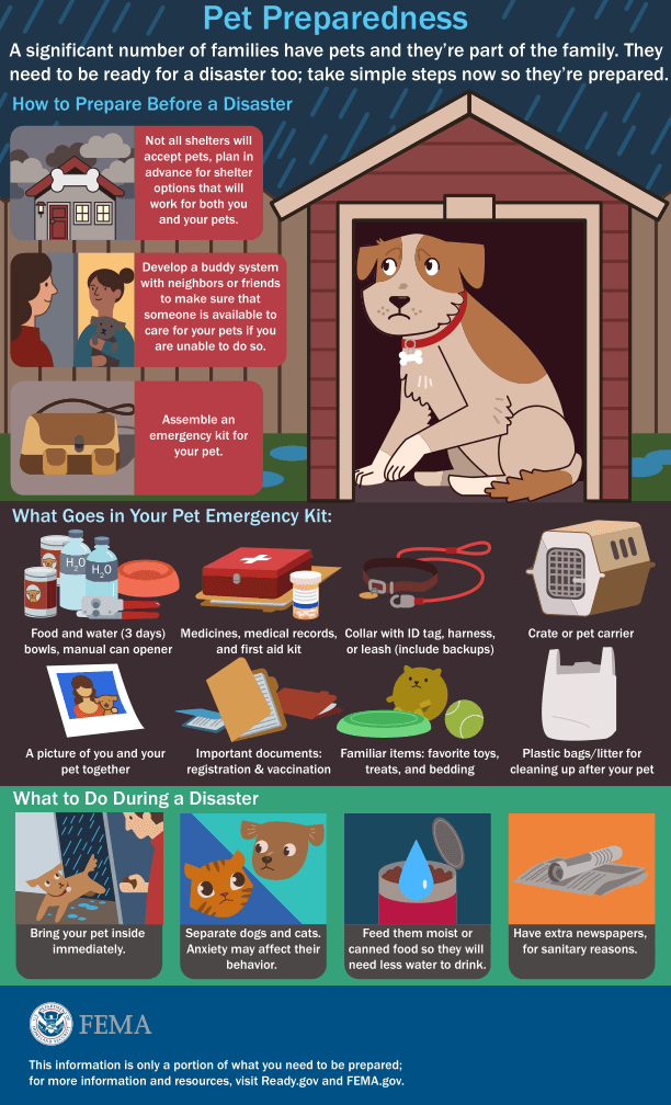 2Pet_Preparedness_Infographic