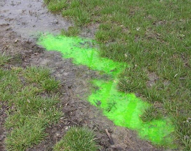 Dye Testing to identify leaks in a septic field